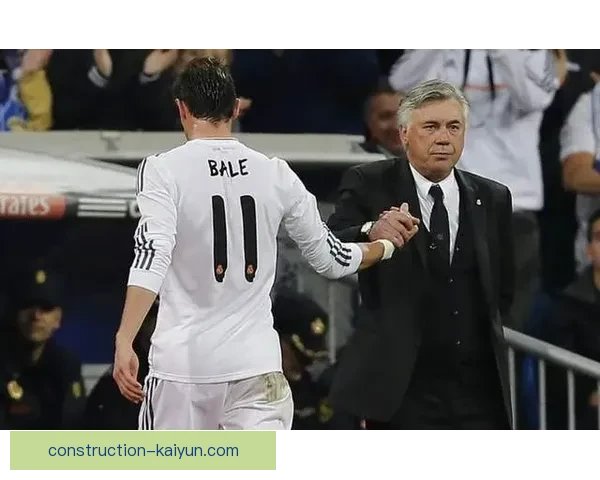 卡迪夫城俱乐部最新赛季战绩与转会动态全面解析