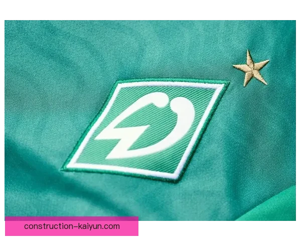 云达不来梅宣布新赛季阵容调整与主帅变动 引发球迷热议