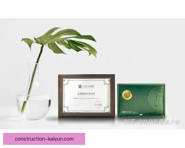 布伦特福德俱乐部发展历程与未来战略全面解析